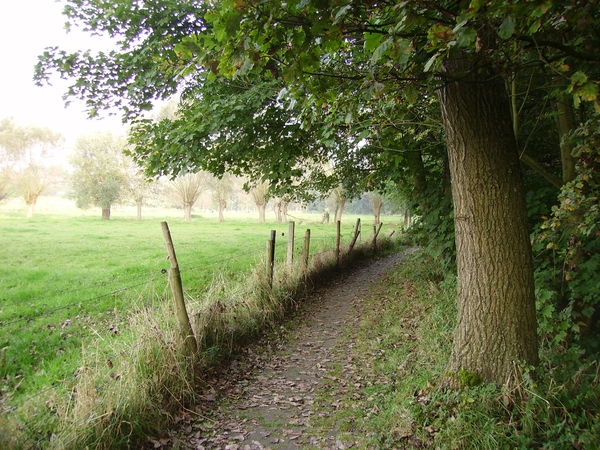 Zwalmbeekroute okt.2008 (20)