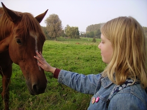 Zwalmbeekroute okt.2008 (32)