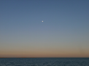 P3210032