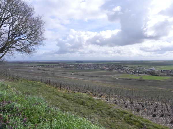 Berg�res-l�s-Vertus