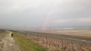 regenboog met op de achtergrond Vertus