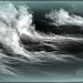 zeewolk
