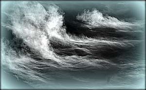 zeewolk