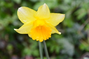 049