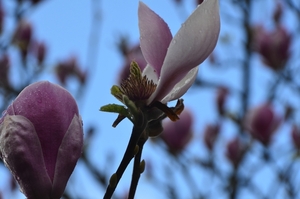 055