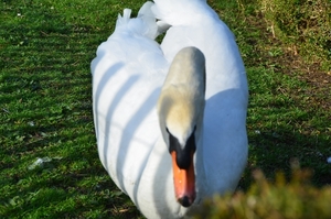 059