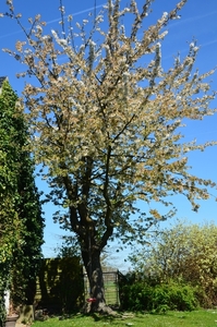 050