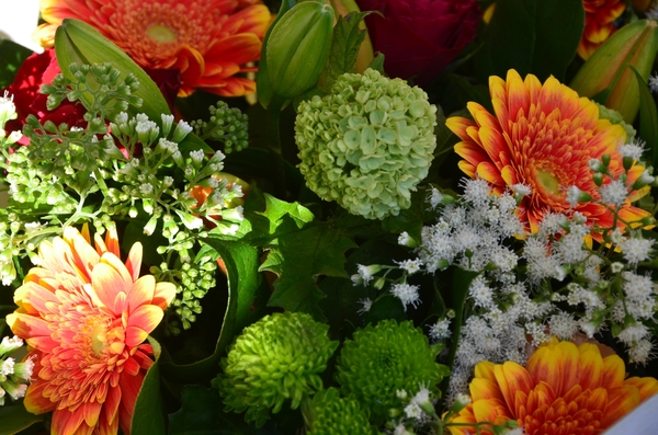 002   ...... HELLO BRUGGE ...... !