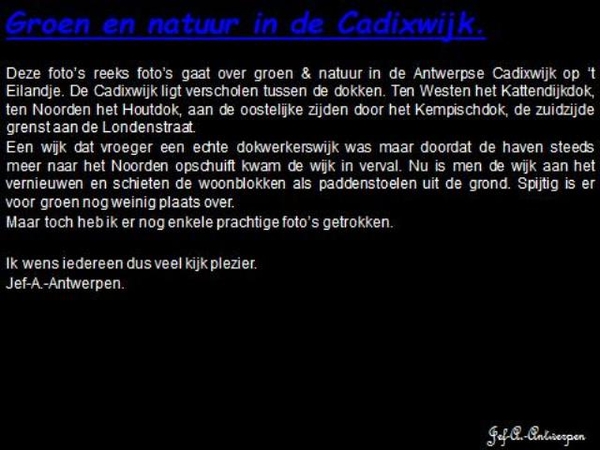 Antwerpen, 't Eilandje, Cadixwijk,