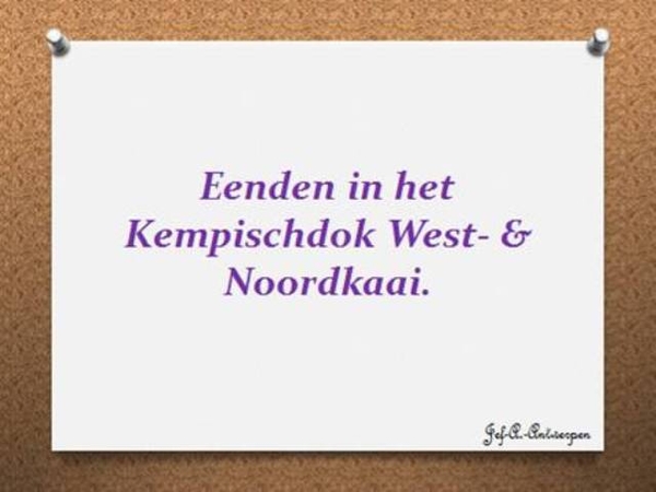 Eenden in het Kempischdok West- & Noordkaai.