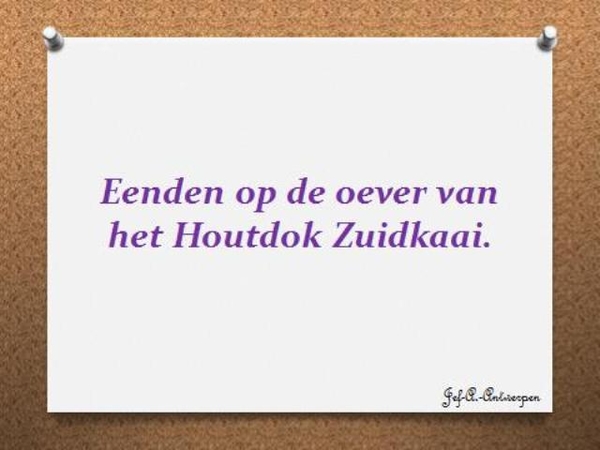 Eenden op de oever van het Houtdok Zuidkaai.