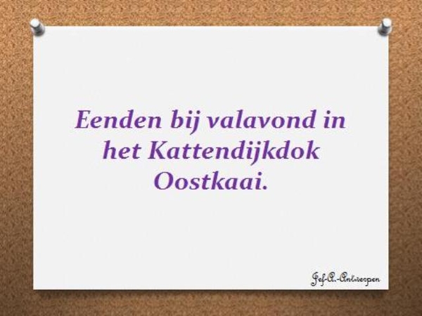Antwerpen, 't Eilandje, Cadixwijk,