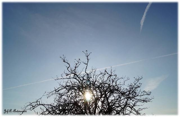 Antwerpen, 't Eilandje, Cadixwijk, Zon.