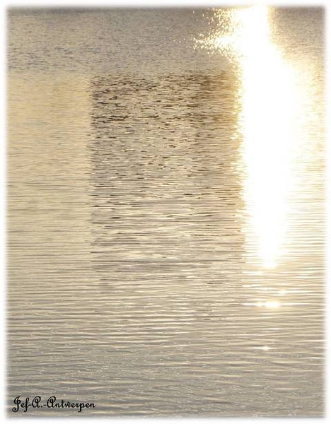 Antwerpen, 't Eilandje, Cadixwijk, Water, Weerspiegeling