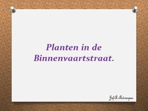 Planten in de Binnenvaartstraat.