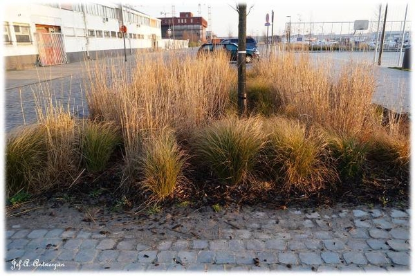 Plantsoen Binnenvaartstraat.