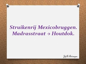 Struikenrij Mexicobruggen, Madrasstraat - Houtdok.