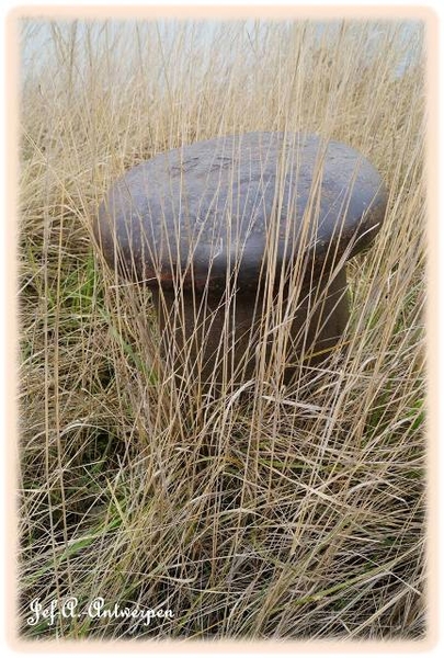 Antwerpen, 't Eilandje, Cadixwijk, Bolders, Meerpalen,