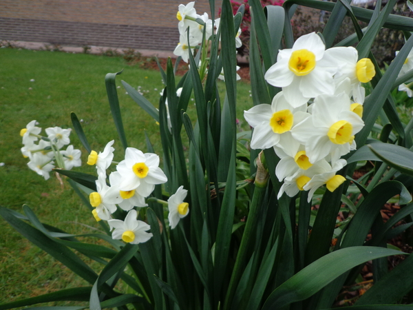 Lente… eindelijk !