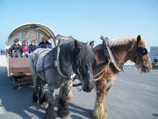 paardenvissers oostduinkerke