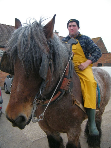 paardenvissers oostduinkerke