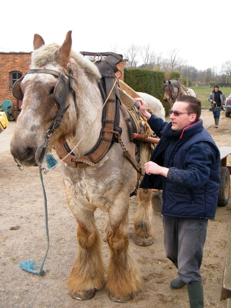 paardenvissers oostduinkerke