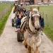 2016_04_02 Oostduinkerke 043