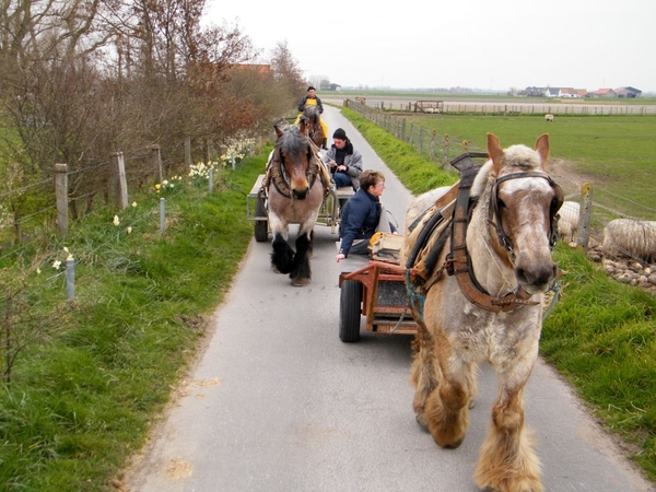 paardenvissers oostduinkerke
