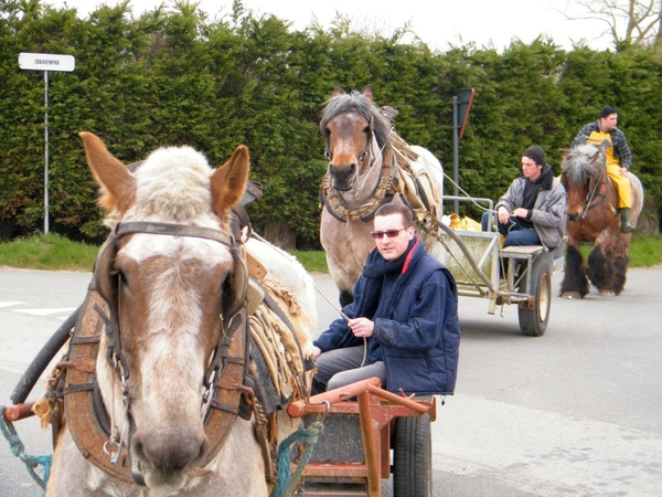 paardenvissers oostduinkerke