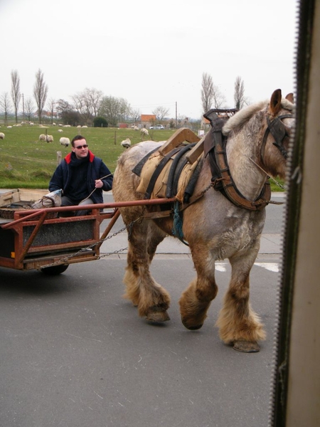 paardenvissers oostduinkerke