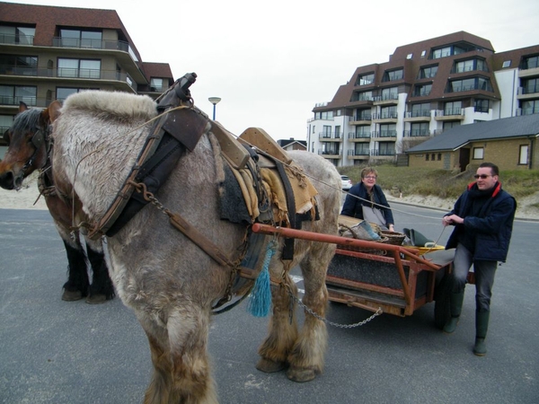 paardenvissers oostduinkerke