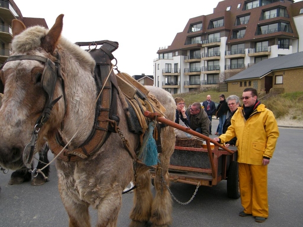 paardenvissers oostduinkerke