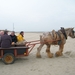 2016_04_02 Oostduinkerke 059