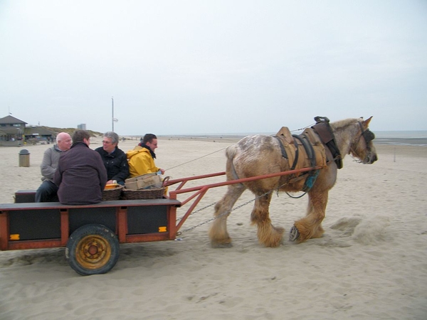 paardenvissers oostduinkerke