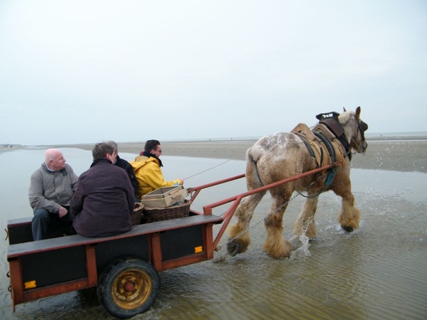 2016_04_02 Oostduinkerke 061