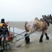 2016_04_02 Oostduinkerke 063