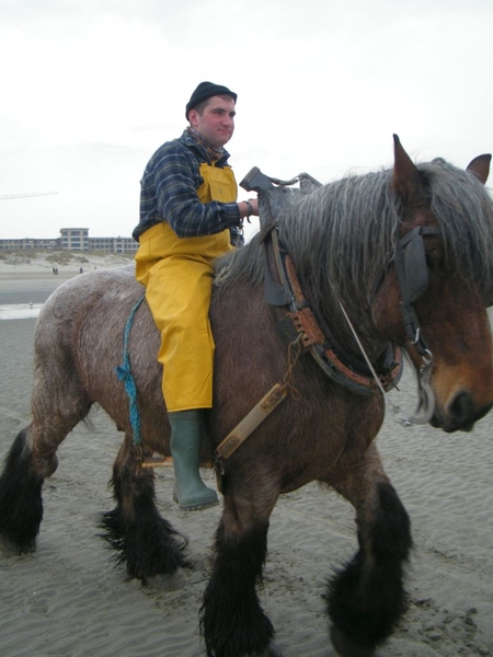 paardenvissers oostduinkerke