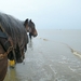 2016_04_02 Oostduinkerke 065