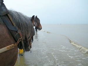 2016_04_02 Oostduinkerke 065