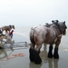 2016_04_02 Oostduinkerke 067