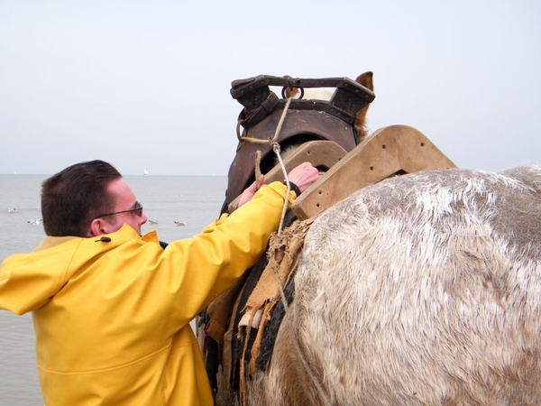 paardenvissers oostduinkerke