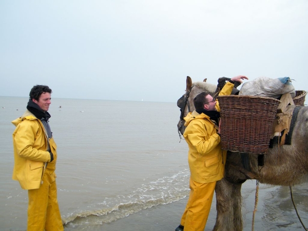 paardenvissers oostduinkerke