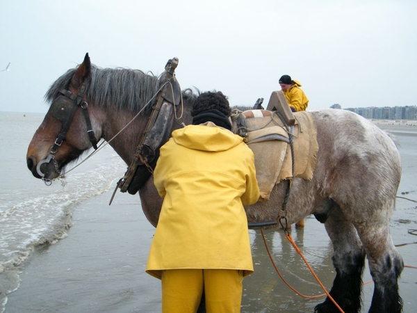 paardenvissers oostduinkerke