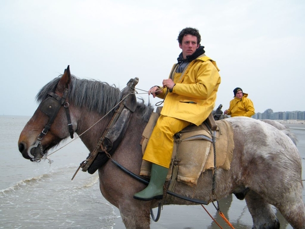 paardenvissers oostduinkerke