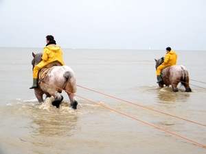 2016_04_02 Oostduinkerke 081