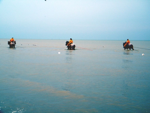 paardenvissers oostduinkerke