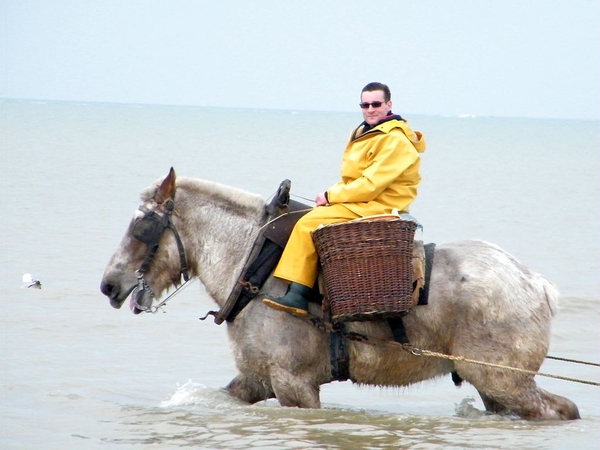 paardenvissers oostduinkerke