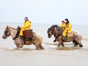 2016_04_02 Oostduinkerke 086