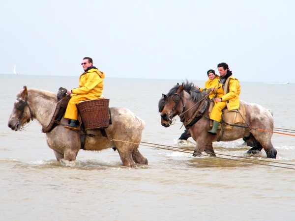 paardenvissers oostduinkerke