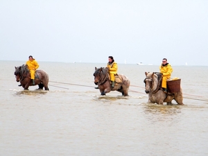 2016_04_02 Oostduinkerke 088